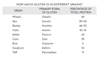 gluten proteins in all grains