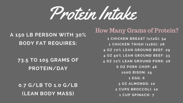 protein intake