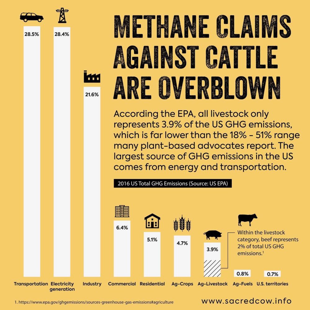 Where does methane come from? Are cattle the largest polluters?